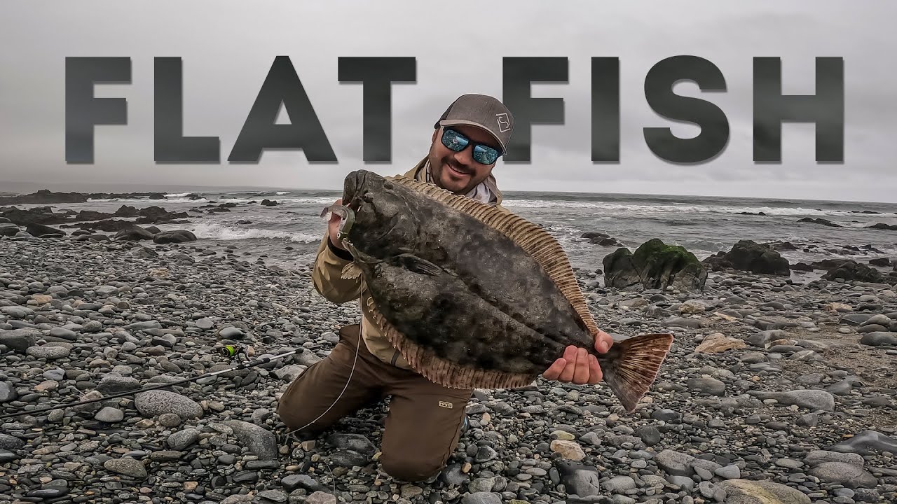 Lenguados XL en Chile 🐟 El comienzo de algo épico - Parte.1