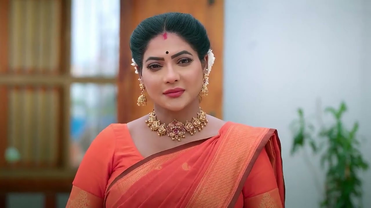 Karthigai Deepam | Ep - 917 | Webisode | Jul 28 2025 | Zee Tamil