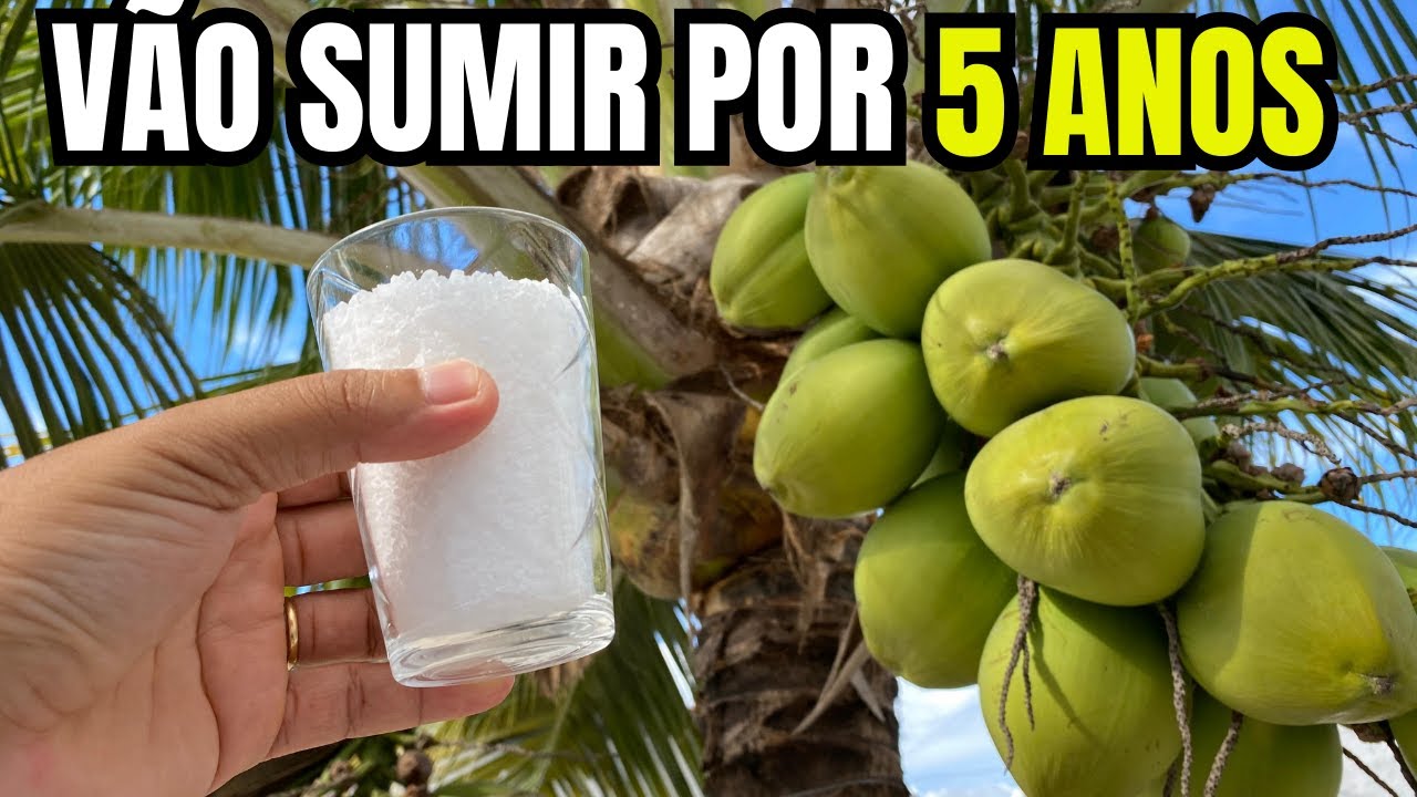 S&oacute; 1 Copo disso e TODAS AS PRAGAS DO COQUEIRO Desaparecem
