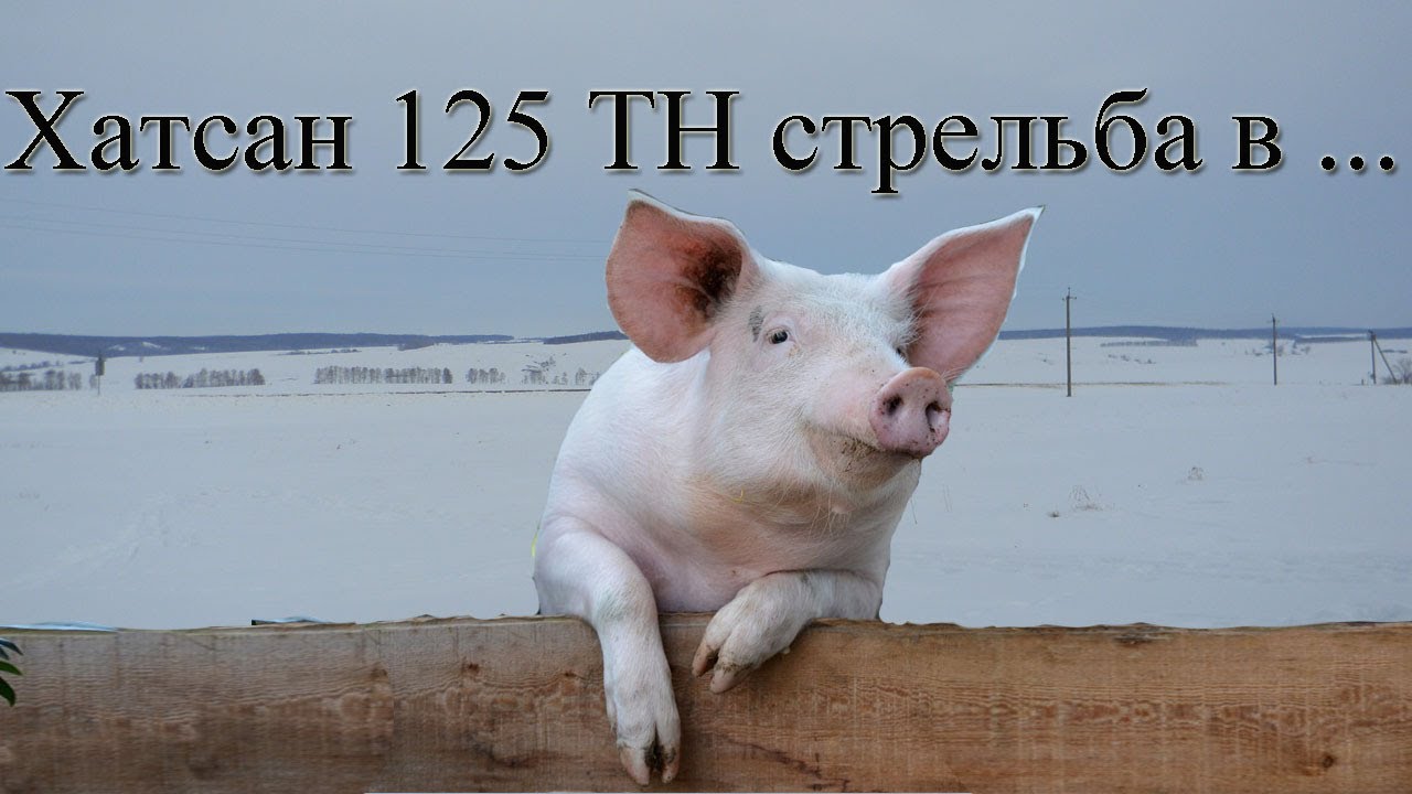 Хатсан 125 ТН огонь по свинье!!!