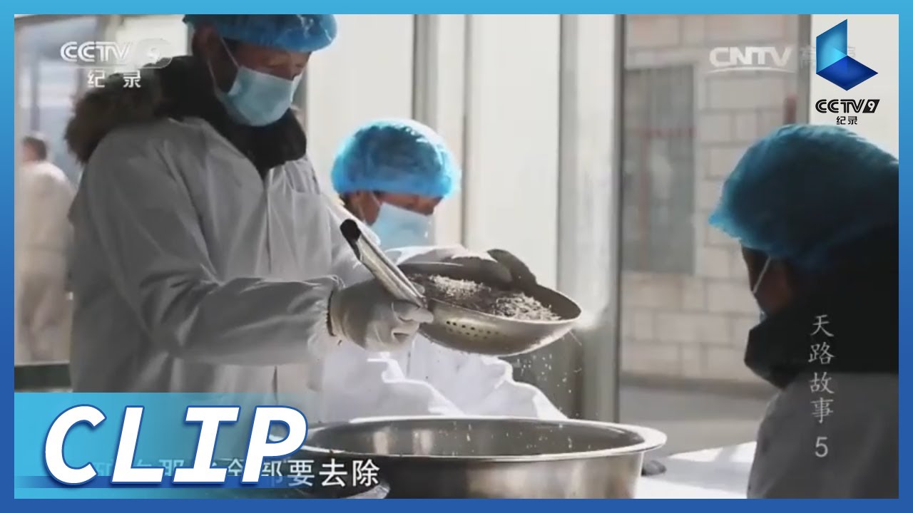 延续两千多年的藏医药该如何发展？《天路故事》第5集【CCTV纪录】