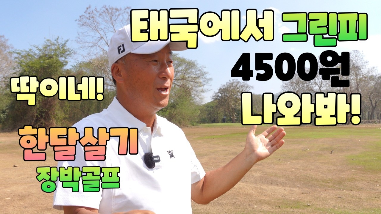 태국그린피 4500원 가성비 끝판왕 보물섬 골프장 01054786658 용아저씨