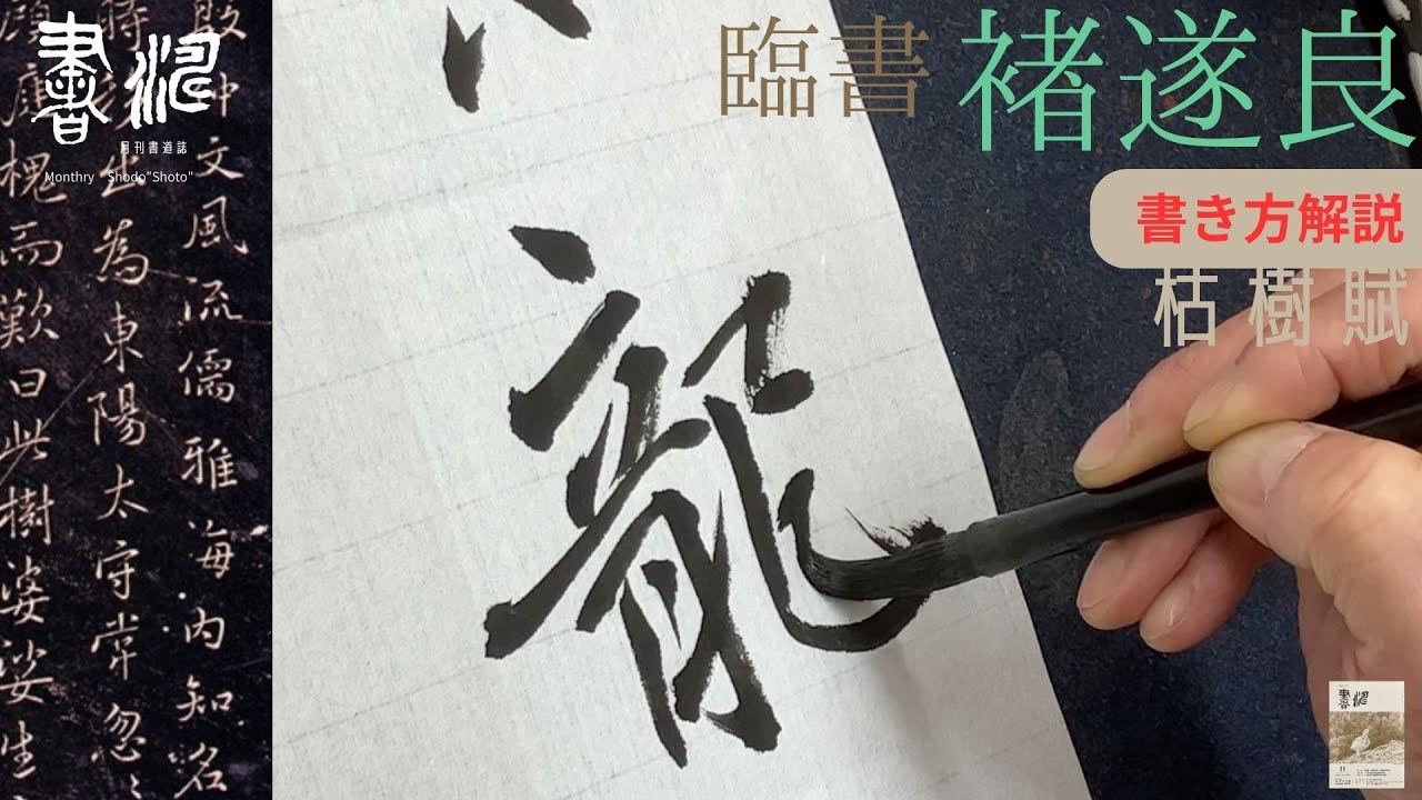 【書道 臨書 書き方解説！】 褚遂良・枯樹賦＜書濤2023 11月号 解説④半紙＞