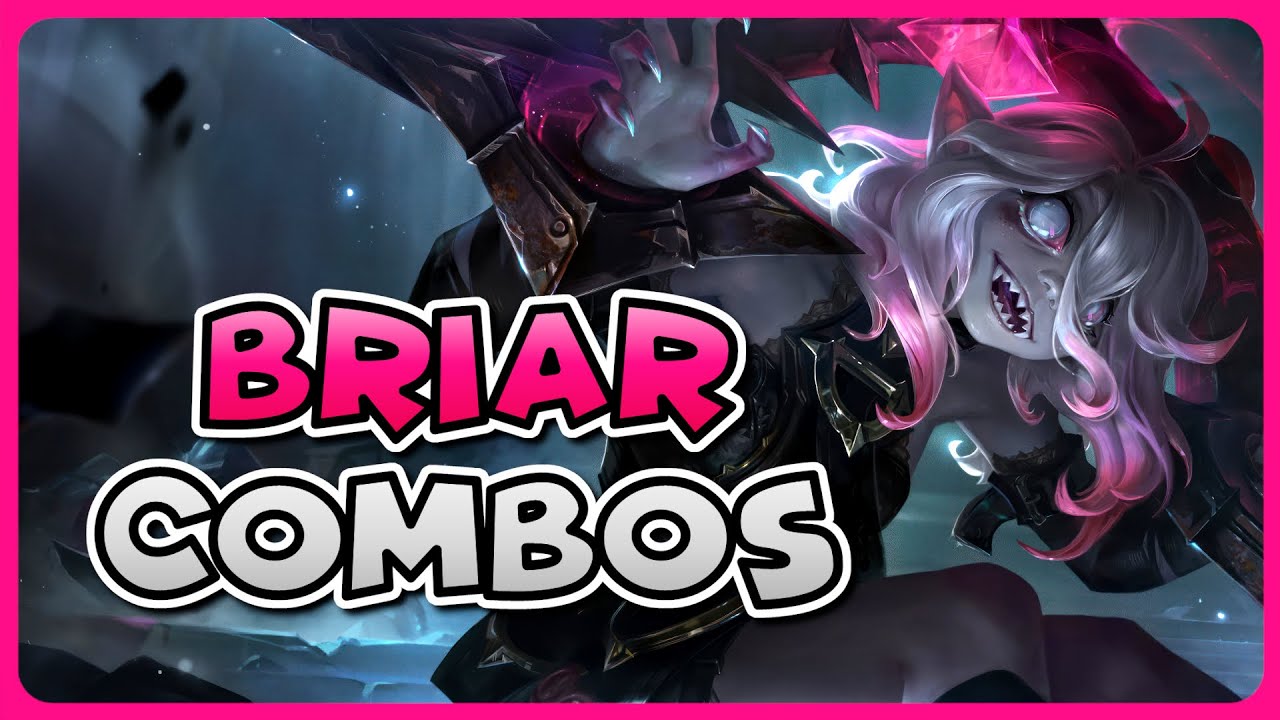 BRIAR COMBO GUIDE | How to Play Briar Season 15 | Bav Bros