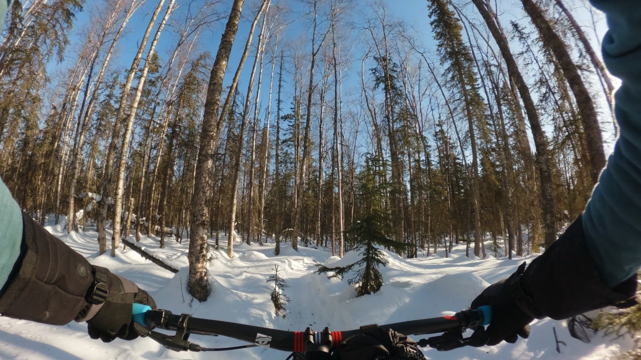 Campbell Tract - 