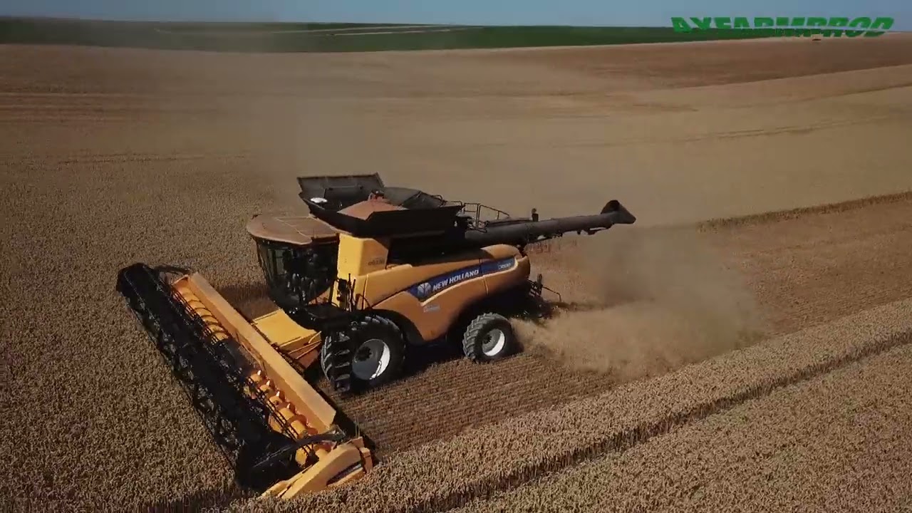 Moisson en NH CR 9.90 et 2 tracteurs Fendt