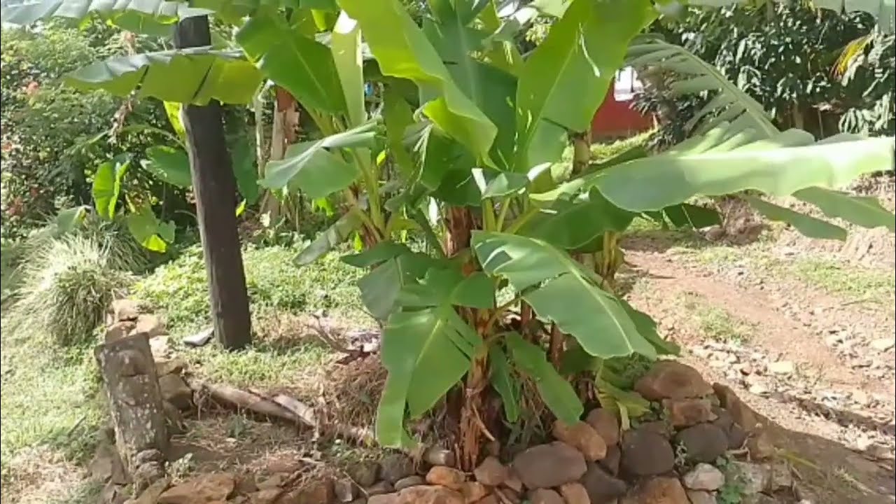 Location Kosariya Ke New Ghar Ka | Pura Sasuraal Shift Ho Raha 🙄