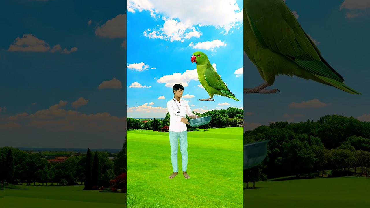 Crying Flying babies catching vs  cat and child funny magic vfx video 😂😂