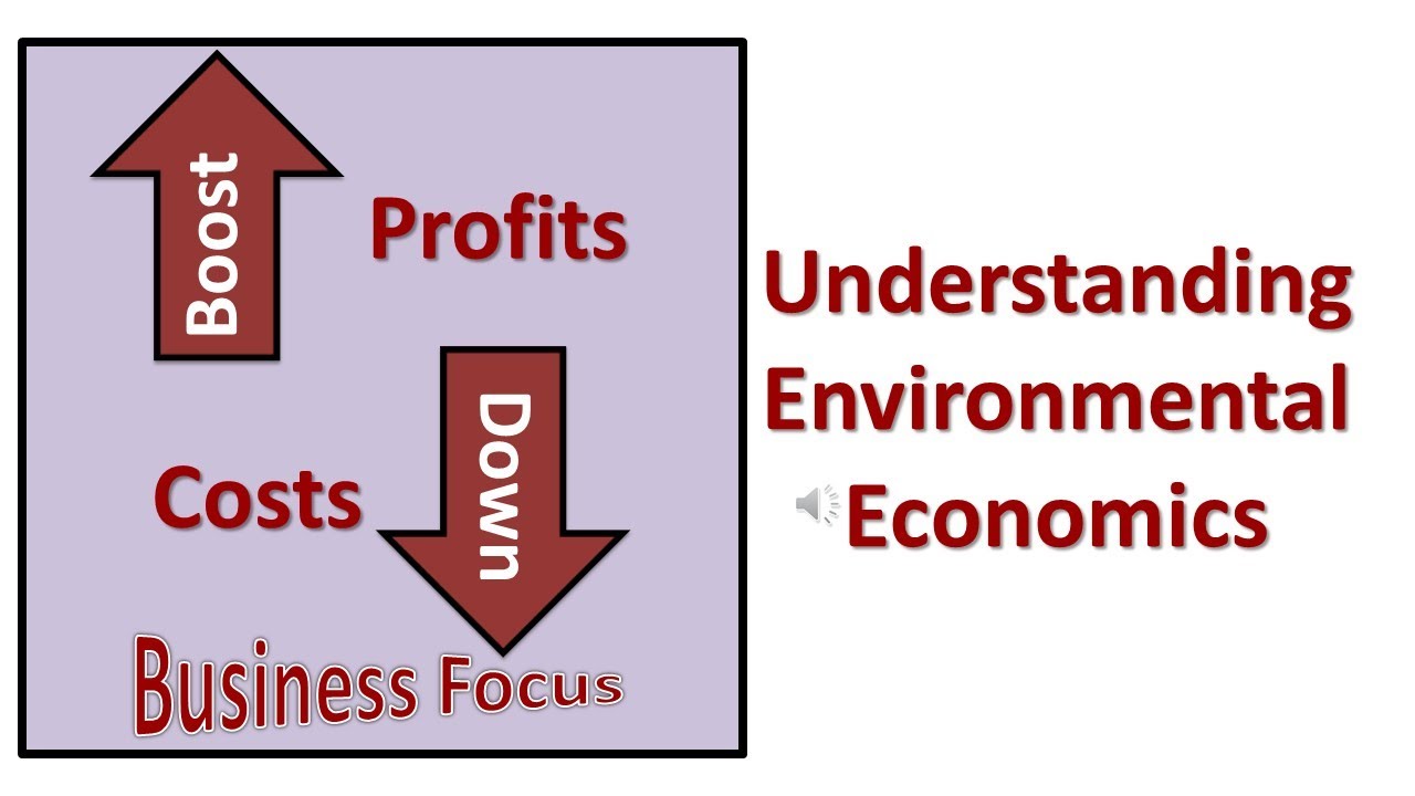 Understanding Environmental Economics