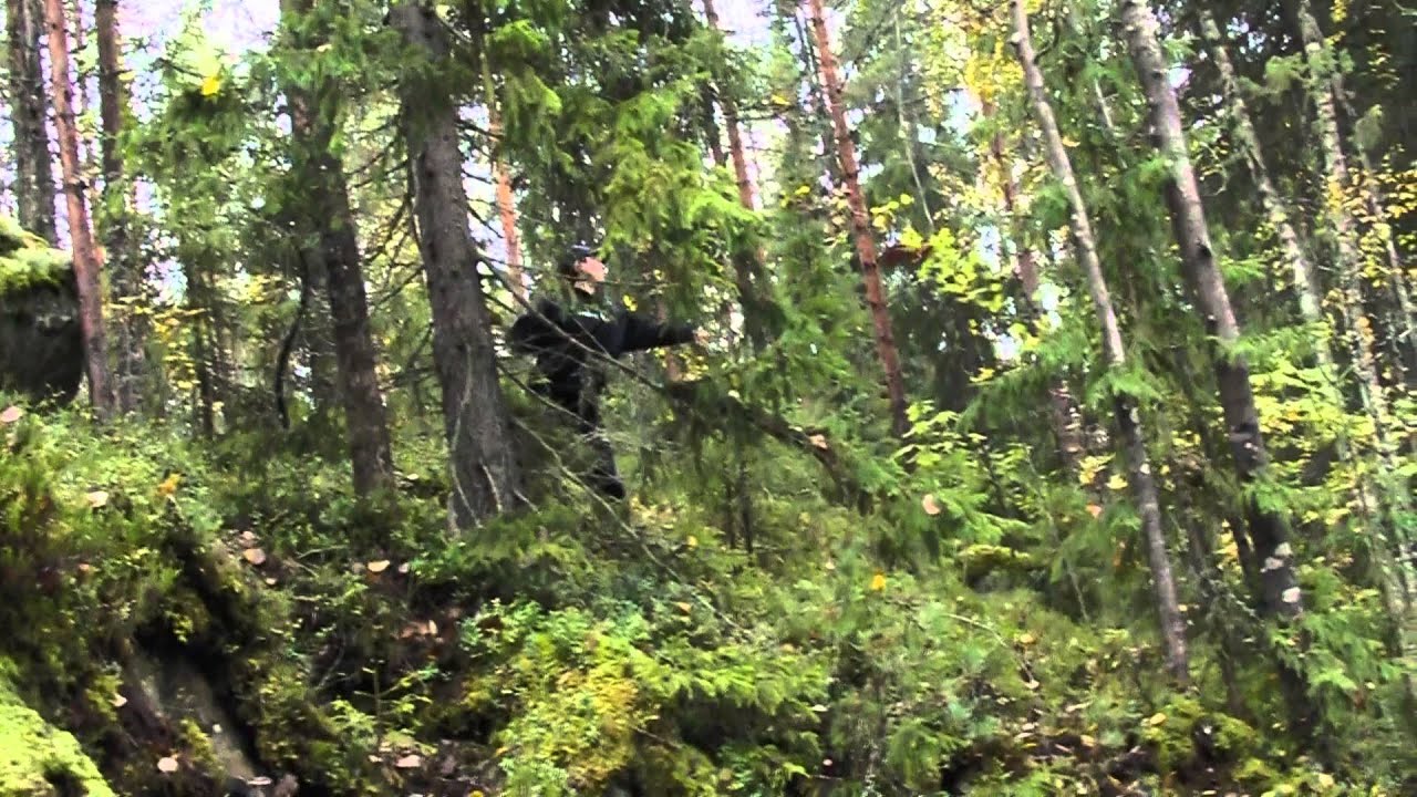 Aholahden Mestaruus 2013