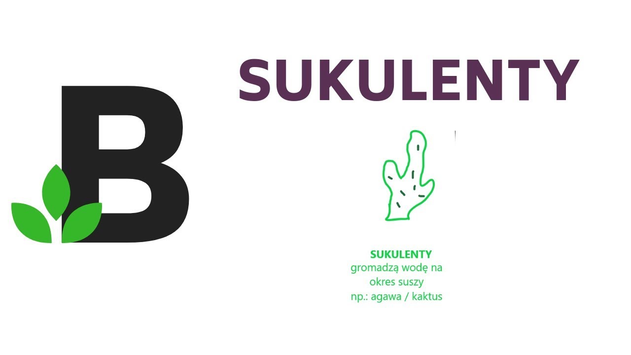 Sukulenty (podział roślin ze względu na wymagania wodne) Ekologia - KOREPETYCJE z BIOLOGII - 132