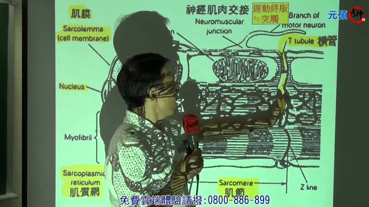 護理師,解剖生理學(楊帆)【考神網】