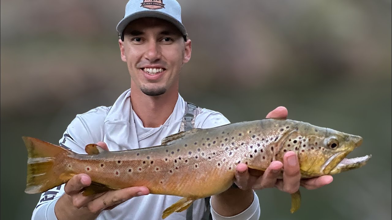 Giant AZ Brown Trout  Caught in Small Creek