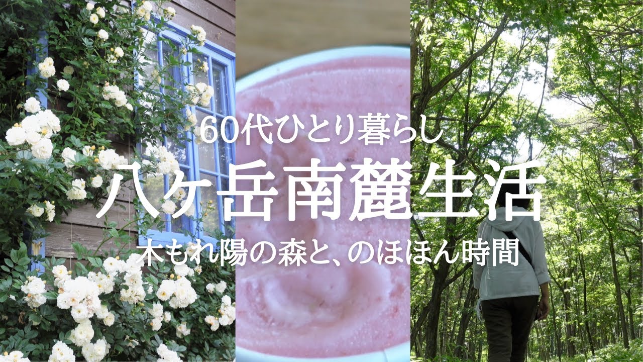 【八ヶ岳南麓60代一人暮らし】#69 夏の森～光と影、鳥のさえずり /野辺山に咲くニッコウキスゲ/つるバラと萌木の村/BOOK&COFFEE「のほほん」/50年前の、南麓酷寒話/移住暮らし/田舎暮らし