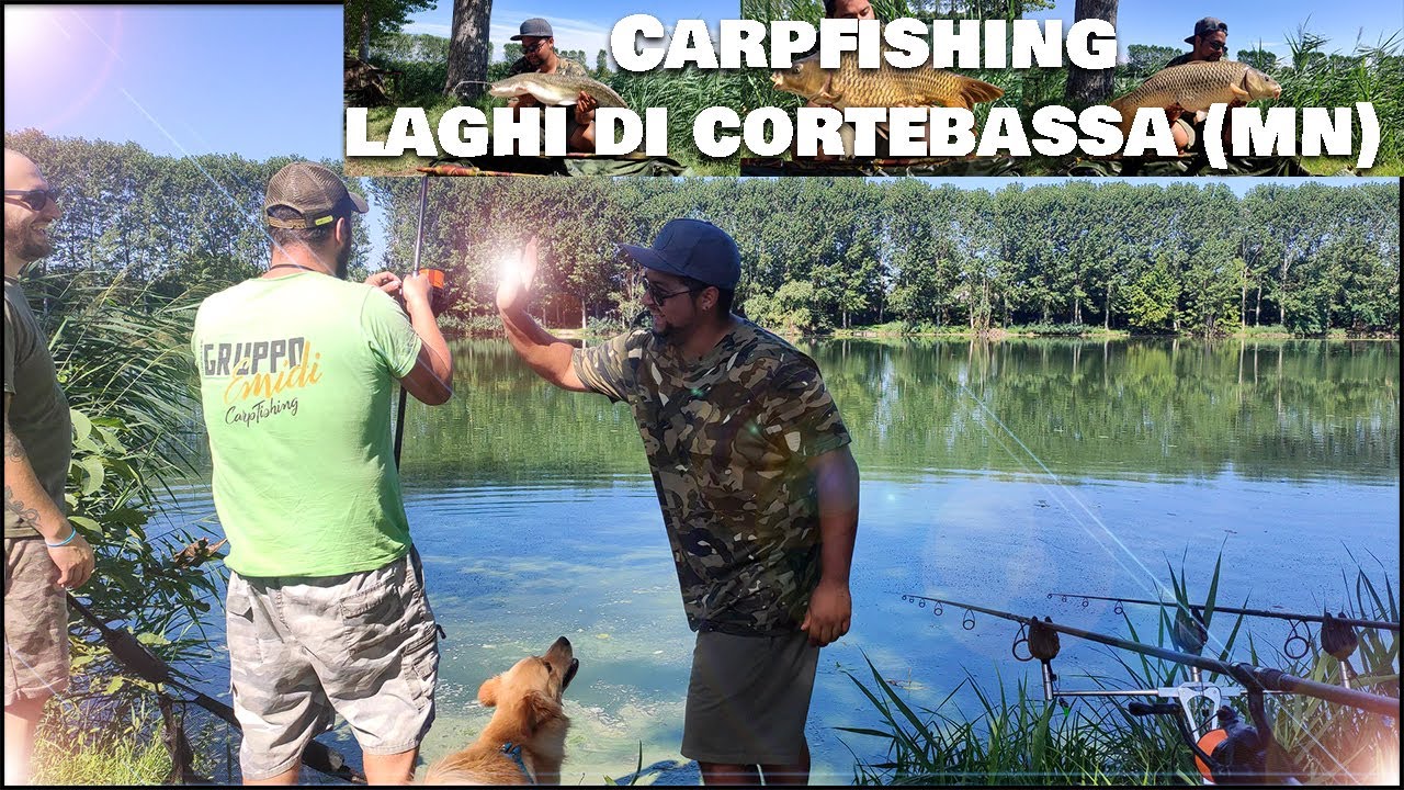 Carpfishing I Laghi di Cortebassa I Goito MN