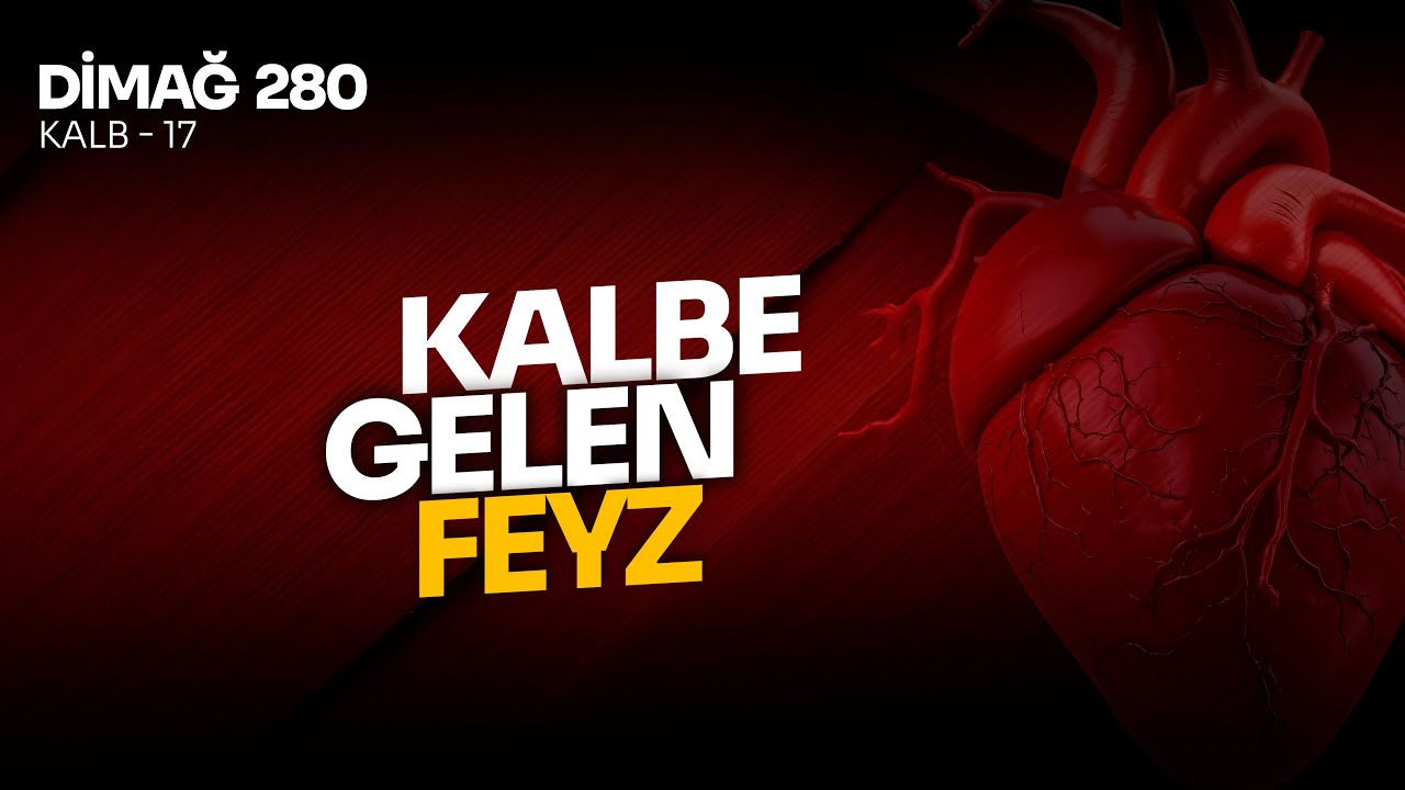 KALBE GELEN FEYZ | DİMAĞ-280 KALB-17