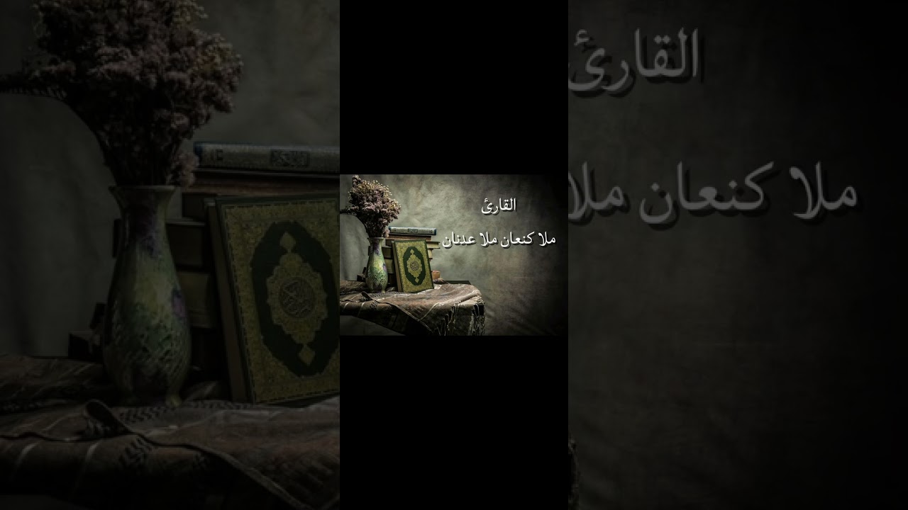 ١٦ يناير ٢٠٢٦