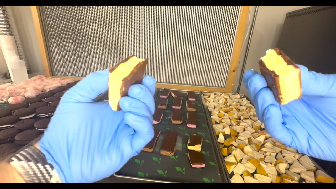Freeze Dryer Fun