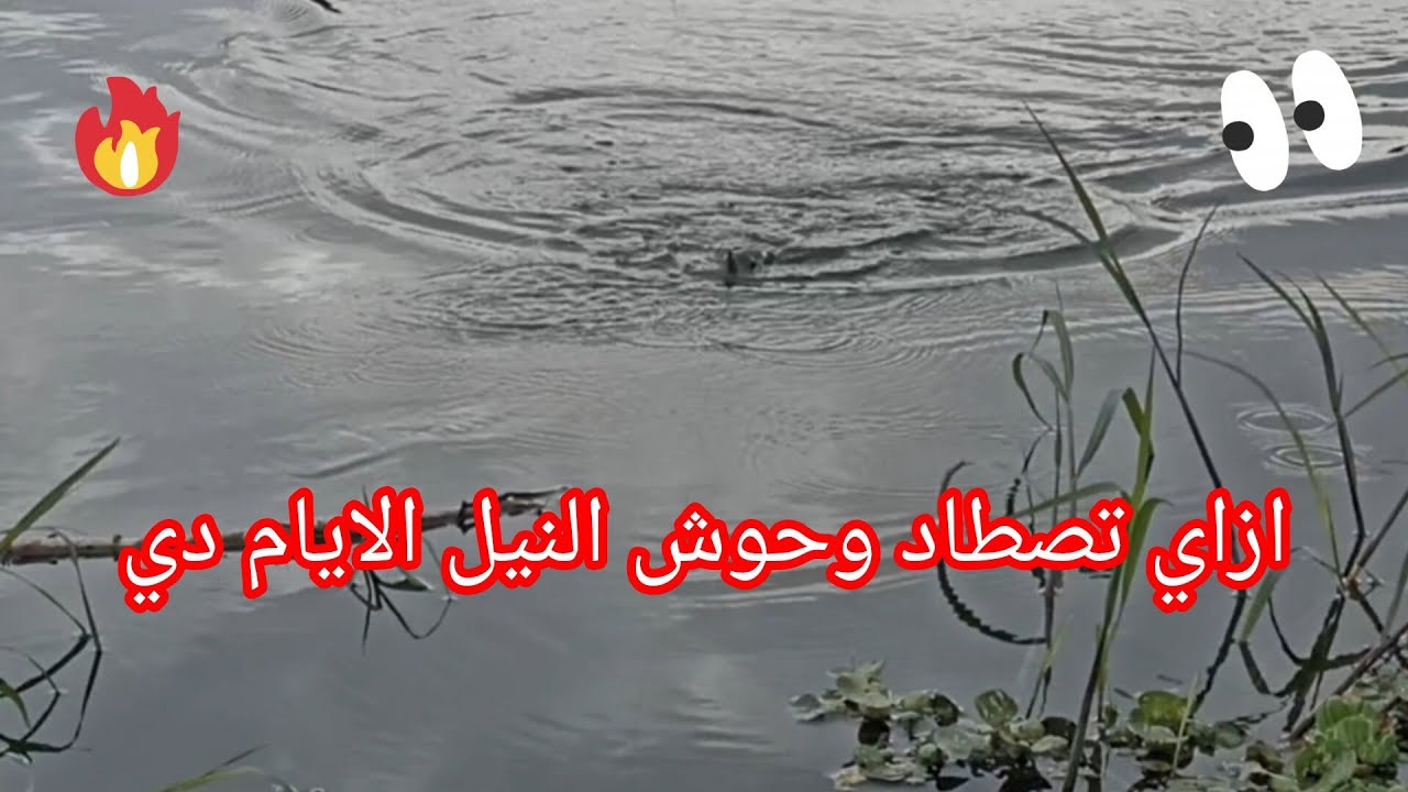 اسرار الصيد في قلب النيل