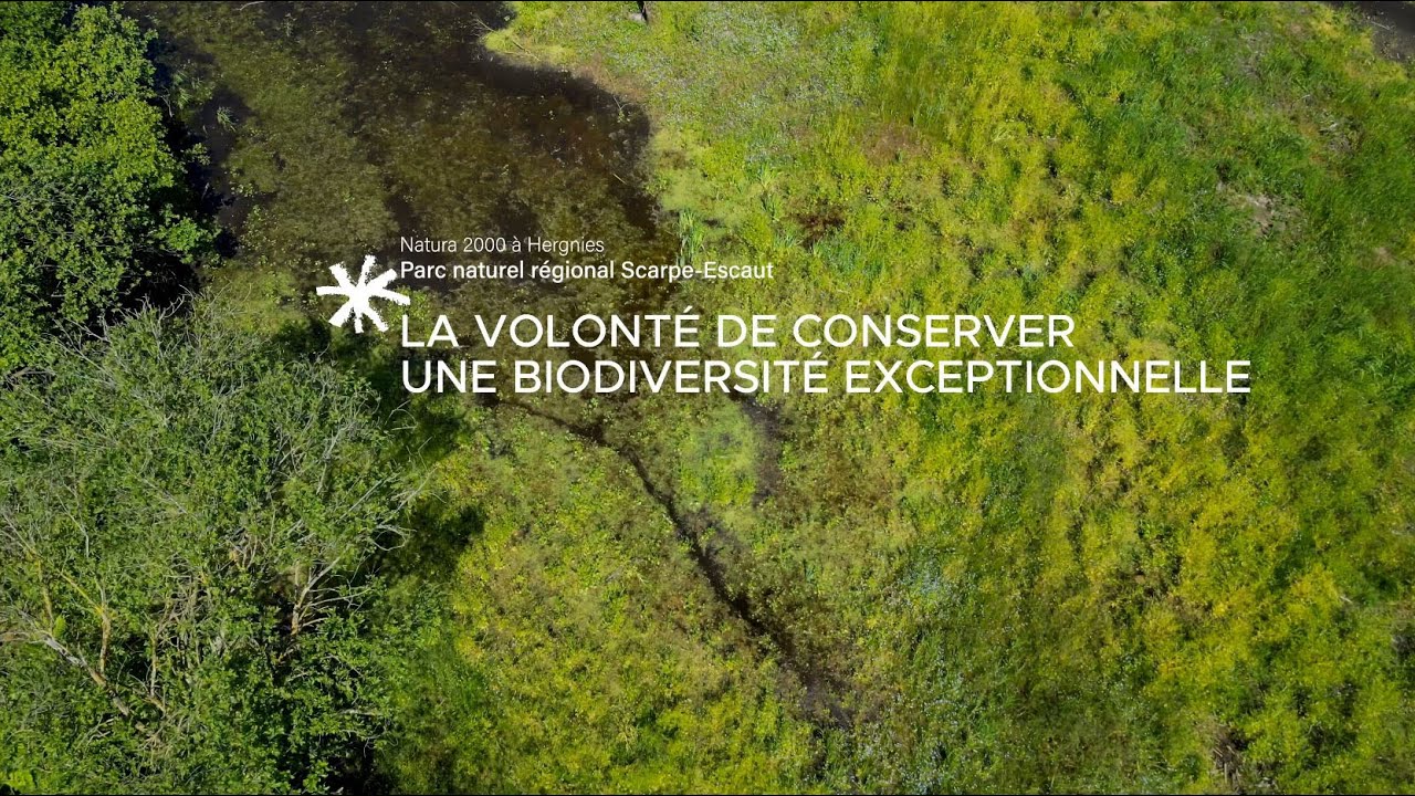 Natura 2000 au Val de Vergne, Espace partagé entre nature et loisirs