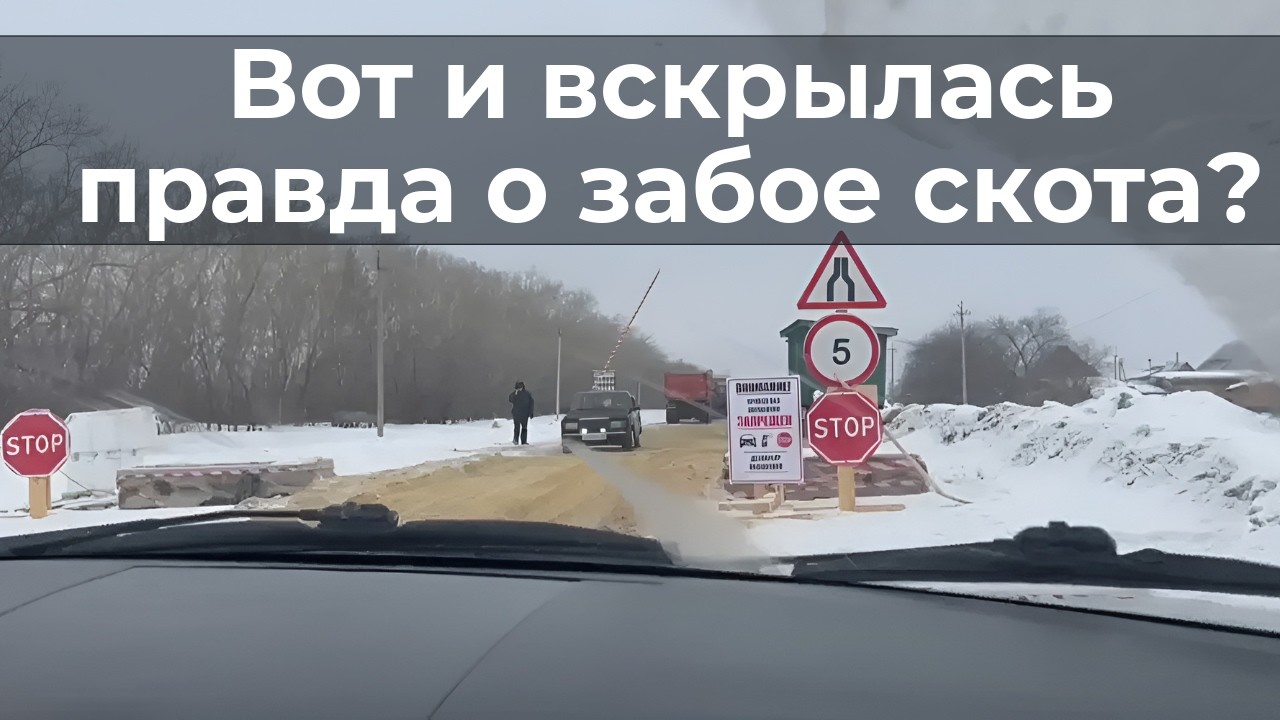 Вот и вскрылась правда о забое скота?