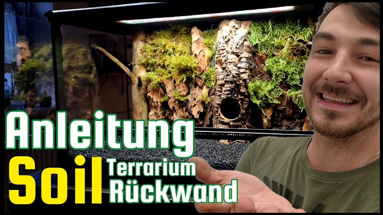 Terrarium Soil - Rückwand aus natürlichen Materialien