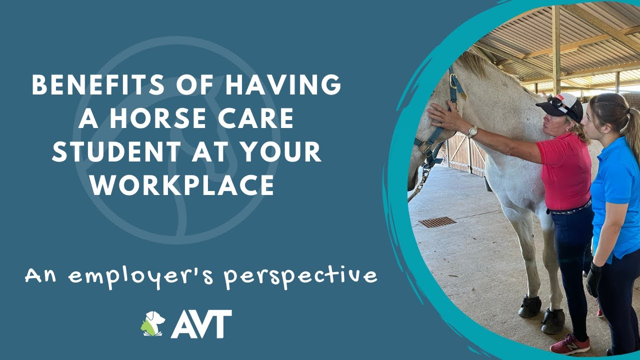 The Benefits of Practical Training Students at Your Horse Care Facility