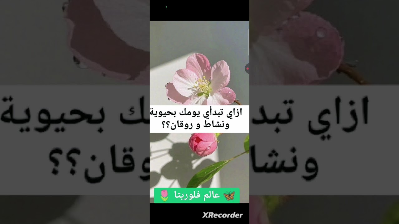 إزاي تبدأي يومك بـ روقان وهدوء؟ 🌿 | كورس مجاني بمناسبة شهر رجب 🌙