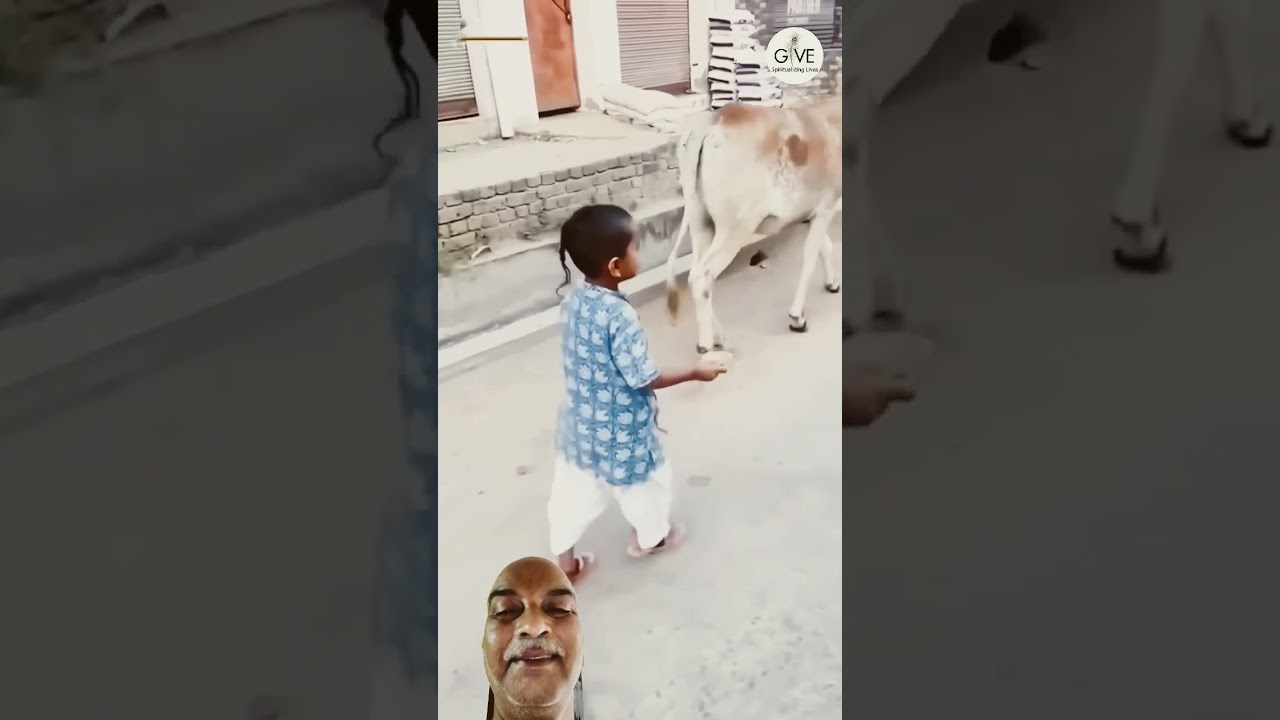 गौ सेवा परम धर्म #gauseva #gausevatrust #cutebaby #gaukatha #kids #gaumata #isckon #vrindavan