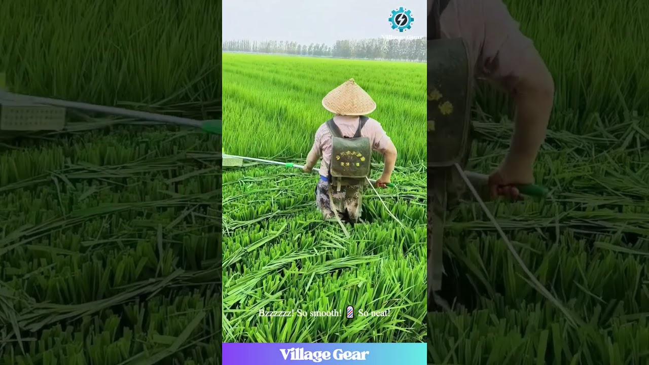 Giant LAWNMOWER for Rice?! 😂 This Farmer's Giving a Field Fade! #farminglife #ricepaddy #cooltools