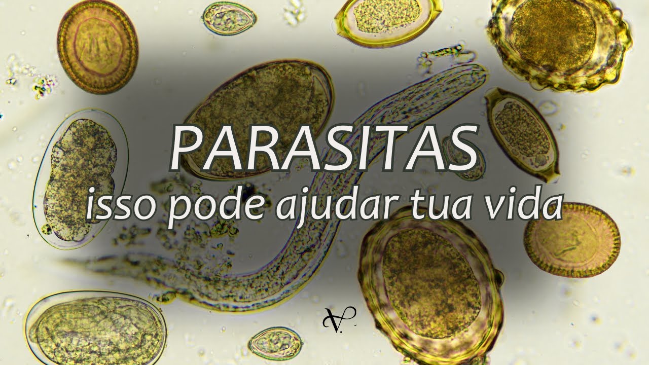 PARASITAS | UM APANHADO GERAL QUE FARÁ DIFERENÇA NA TUA VIDA