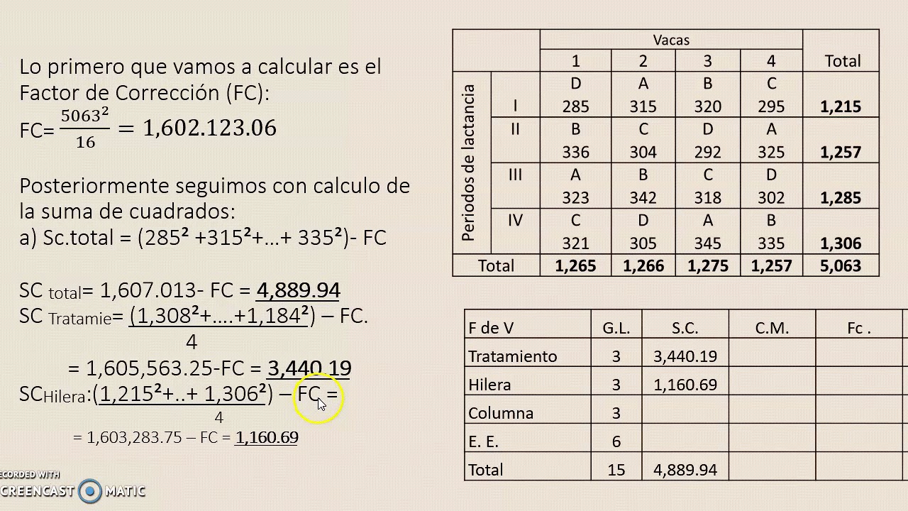 Ejercicio Cuadro Latino