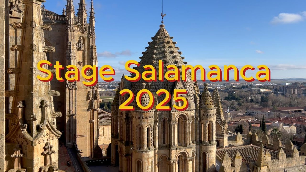 Stage Salamanca 2025 pt.1