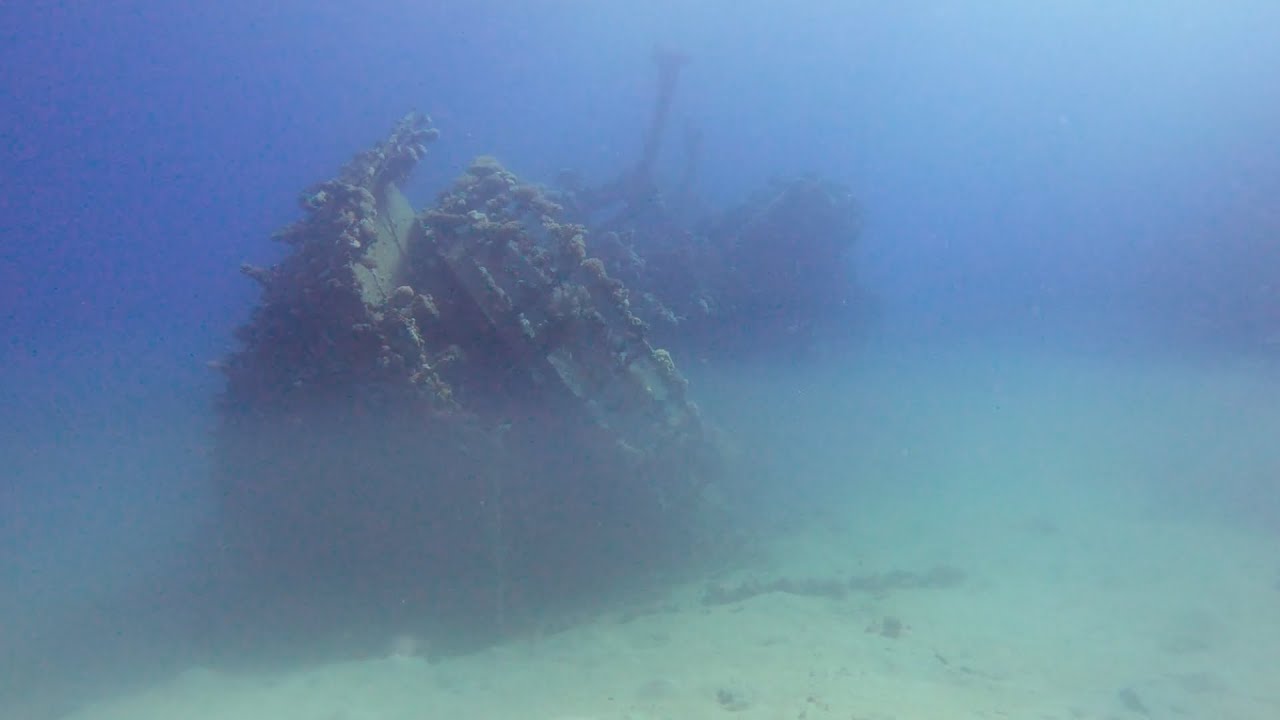 Scuba diving Abu Ghusun, Hamada wreck, Wadi El Ghemal, Marsa Alam, Egypt (2022-11-17)