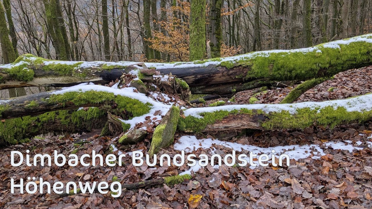 Dimbacher Buntsandstein Höhenweg (Premiumwanderweg in der Pfalz)