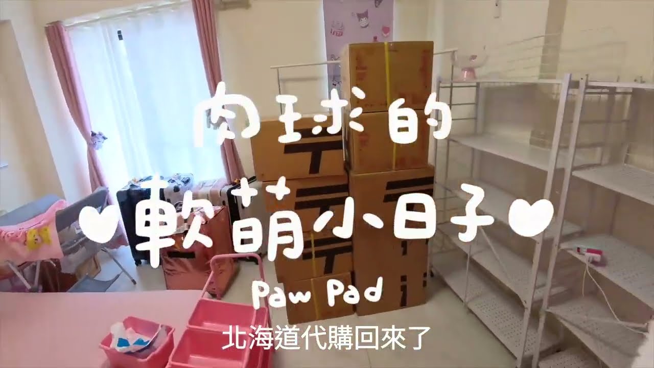 肉球的療癒擺貨時間🇯🇵北海道大爆買！1533樣萌物衝出～～
