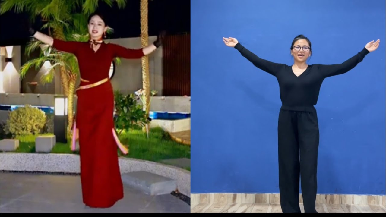 New Tibetan Song༼སྒེར་རྩེའི་འབྲོག་མོ། #tibetandance #tutorial #tibetanvlogger #beautifulsong