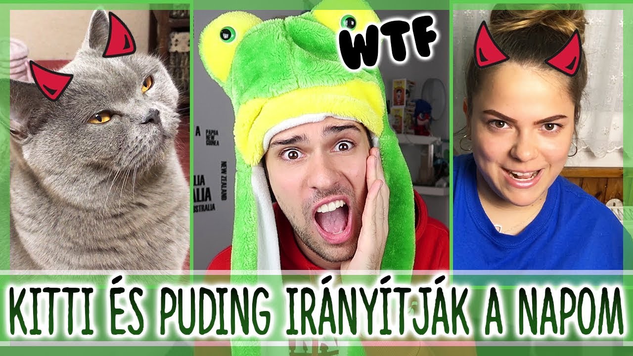 $ KITTI ÉS PUDING IRÁNYÍTJÁK A NAPOM $