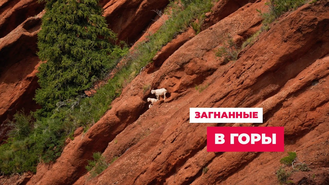 2-я часть. Иссык-Куль по частям Кыргызстан 2024 жара июль
