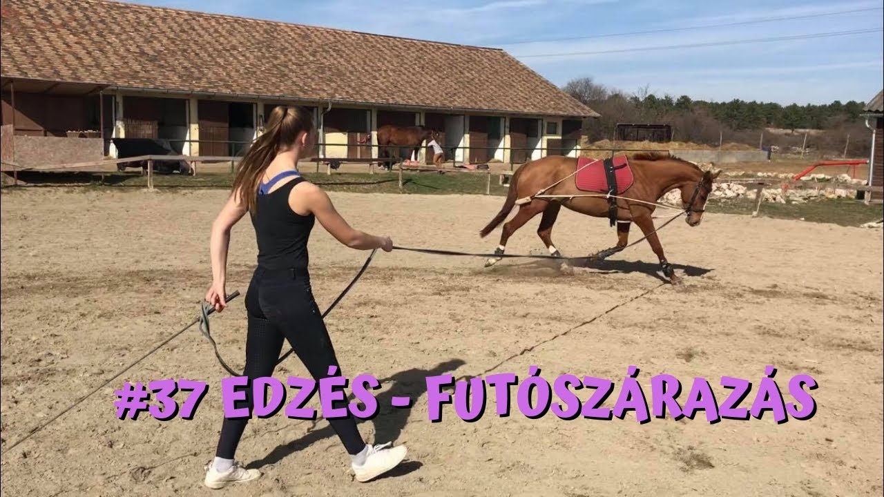 Edzés - Futószárazás