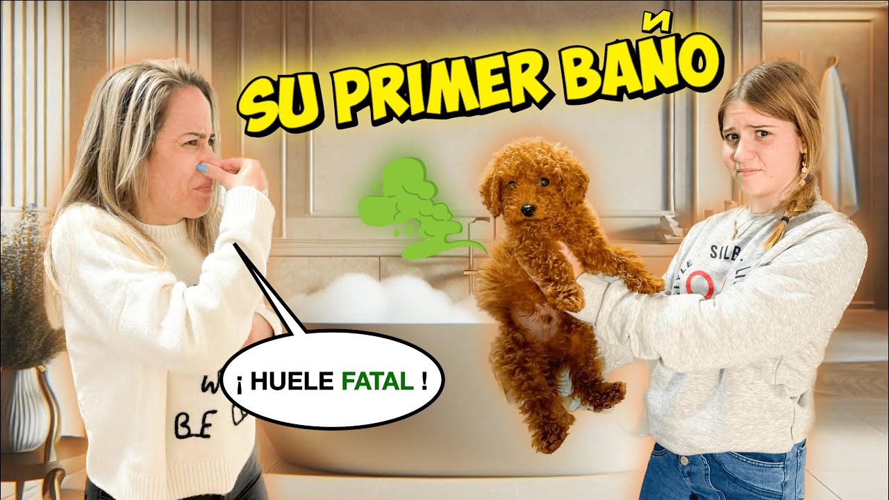 🤢 BAÑO A MI PERRO BEBÉ POR PRIMERA VEZ HUELE MUY MAL 💩 Daniela Go