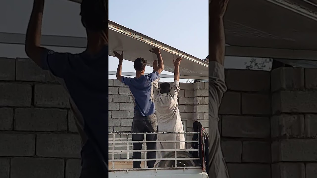 انشاء حقل دواجن
