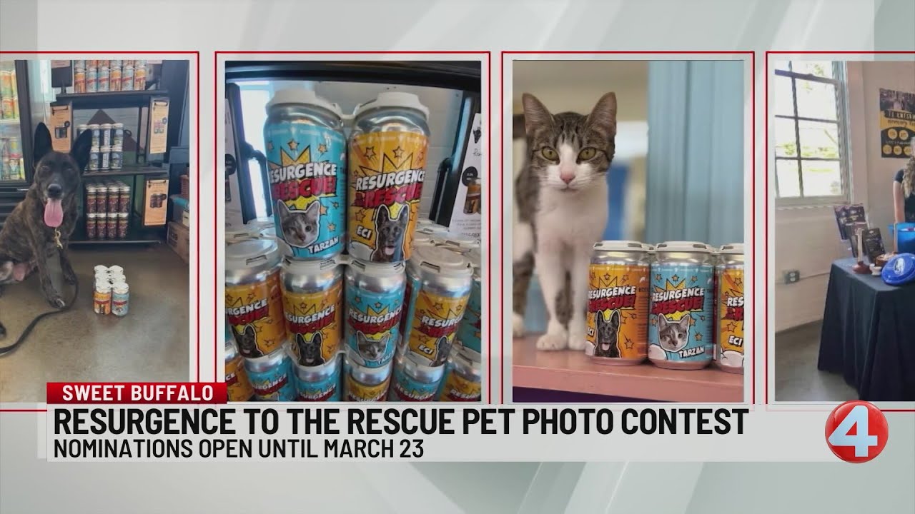 Sweet Buffalo: Resurgence to the Rescue pet photo contest