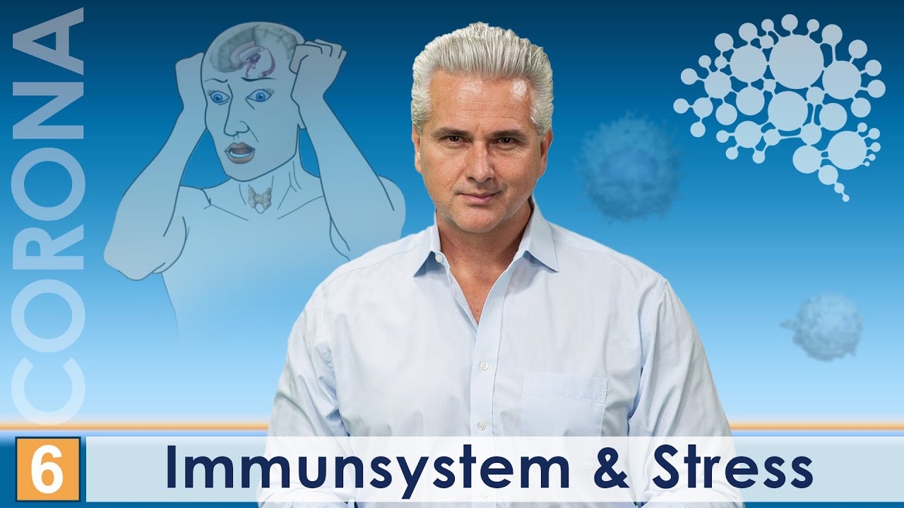 Was macht Stress mit dem Immunsystem│Dr. Dr. Damir del Monte│Wissenschaft & Praxis