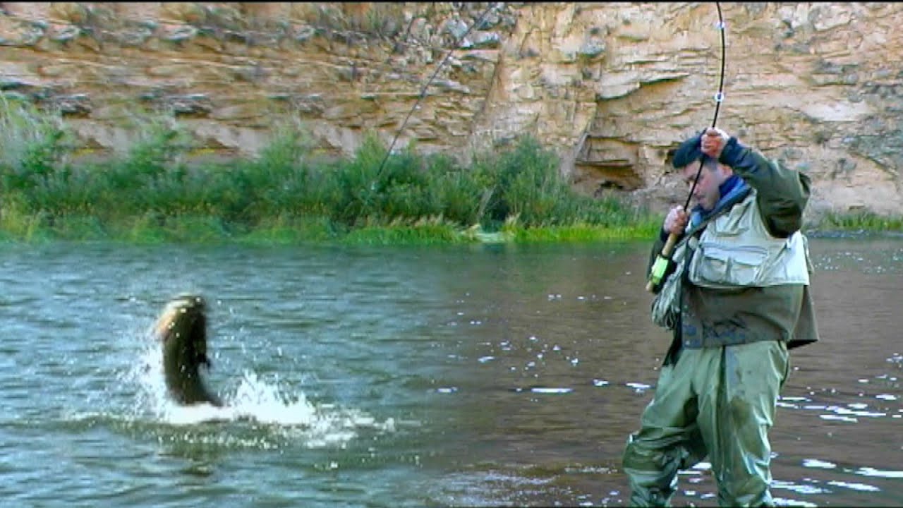 Lov i ribolov - Pecanje u Mongoliji I deo | Fishing big taimen in Mongolia | Hucho taimen