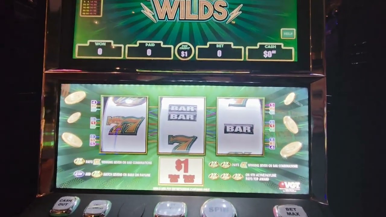 Polar High Roller Electric Wilds/Lucky Ducky Lightning Wilds High Limit VGT