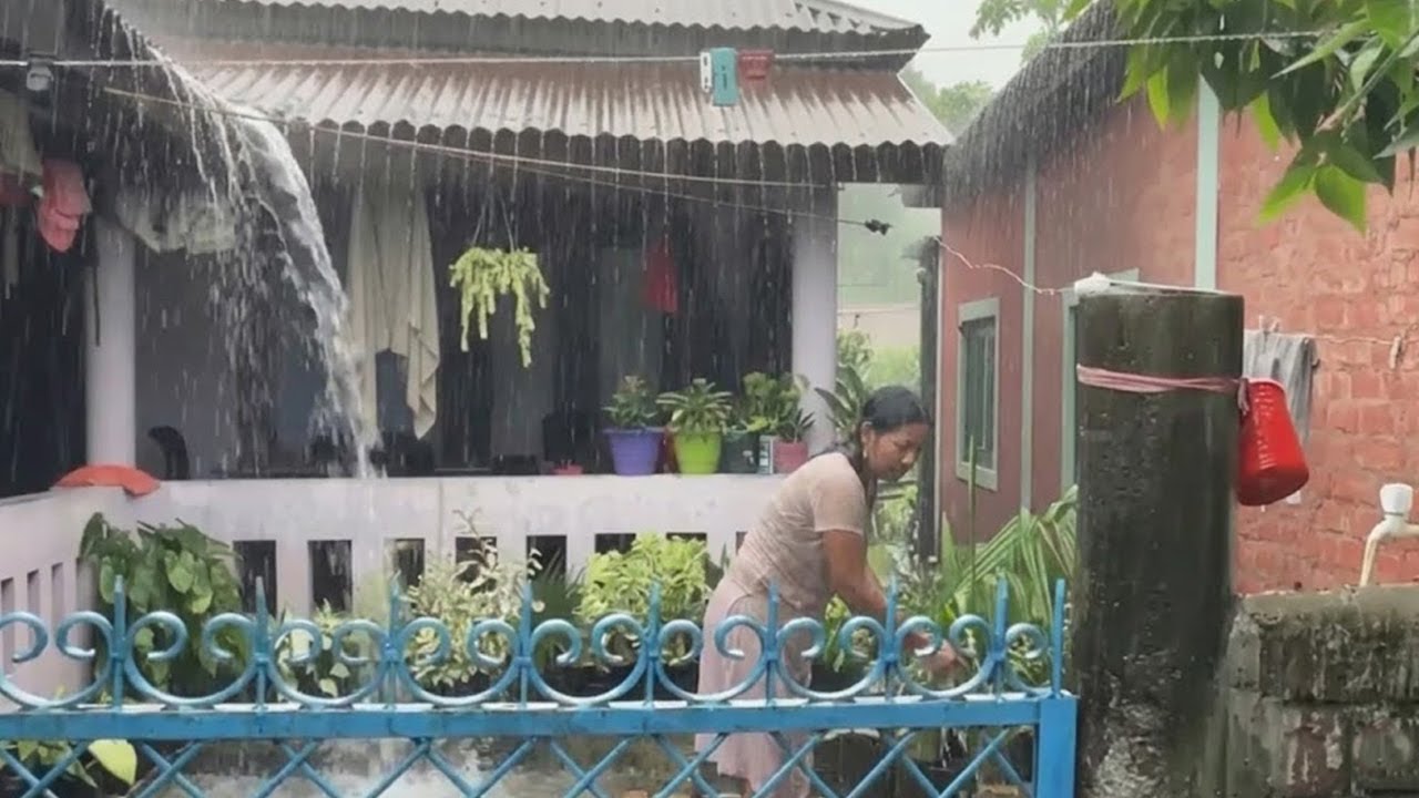 Rain Falling from Tin Roof-Walking through Village in Super Heavy Rain
