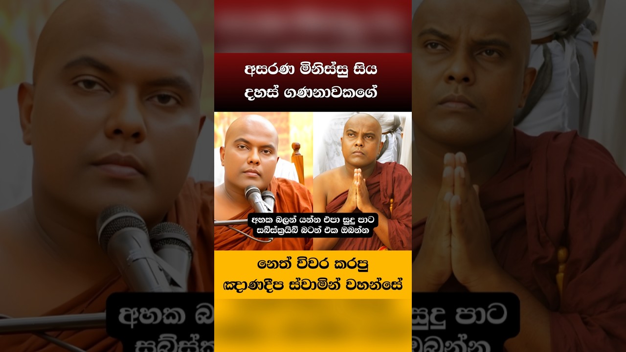 අසරණ මිනිස්සුන්ගේ නෙත් විවර කරපු බලවේගය 