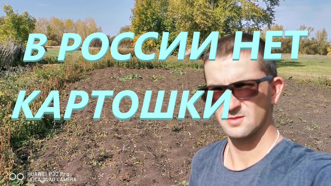 В РОССИИ НЕТ КАРТОФЕЛЯ #therearenopotatoesinRussia