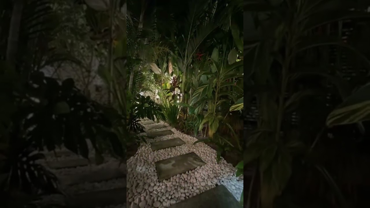 DJ有事要大家庭给一些意见.....